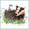 Bluebell Wood (Counted Cross Stitch Kit)